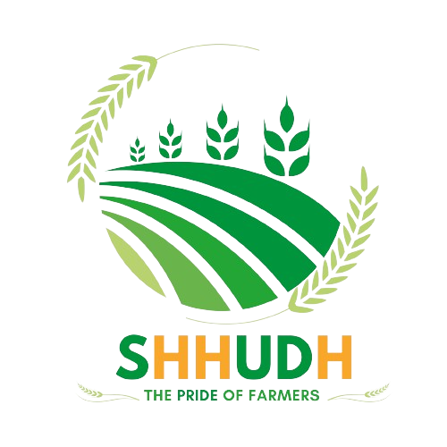 The Shhudh Co.